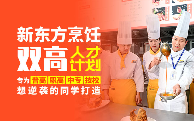 双高人才计划
